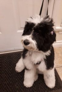 20210331_215055 06-10-2021